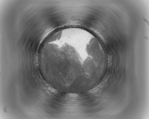 X0000095520878200712281458