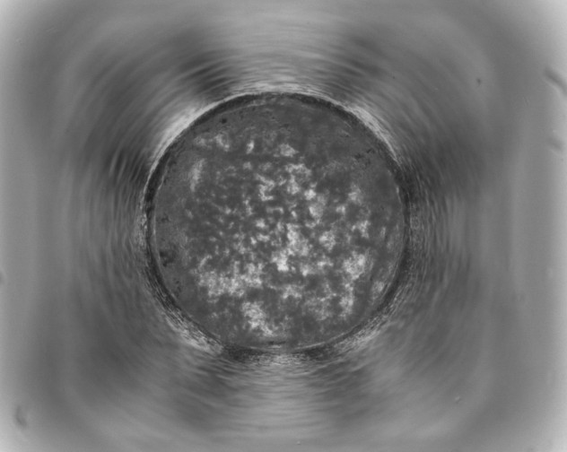 X0000095520879200712281458