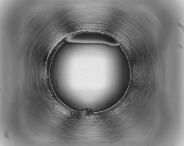 X0000095520880200712281458