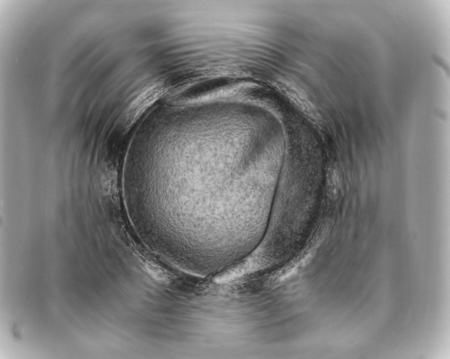 X0000095520881200712281458