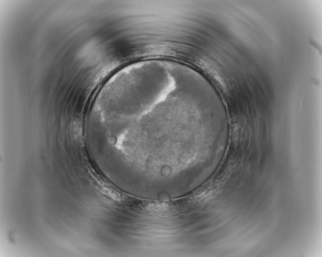 X0000095520882200712281458