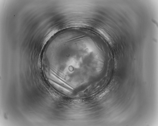 X0000095520883200712281458