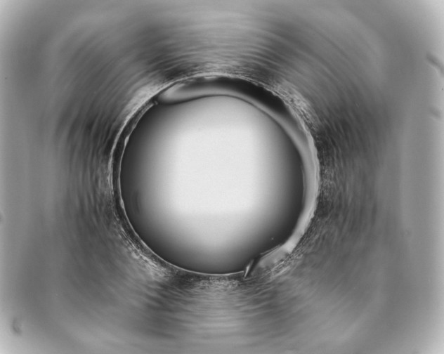 X0000095520884200712281458