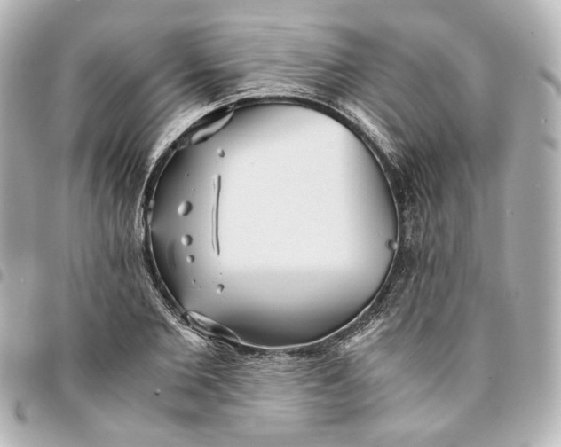 X0000095520885200712281458