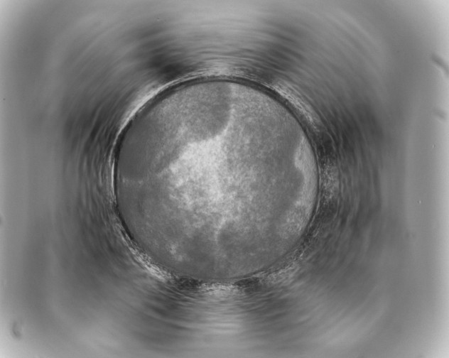 X0000095520886200712281458