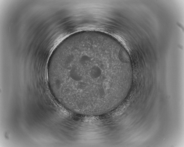 X0000095520887200712281458