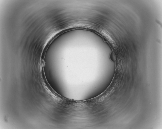 X0000095520888200712281458