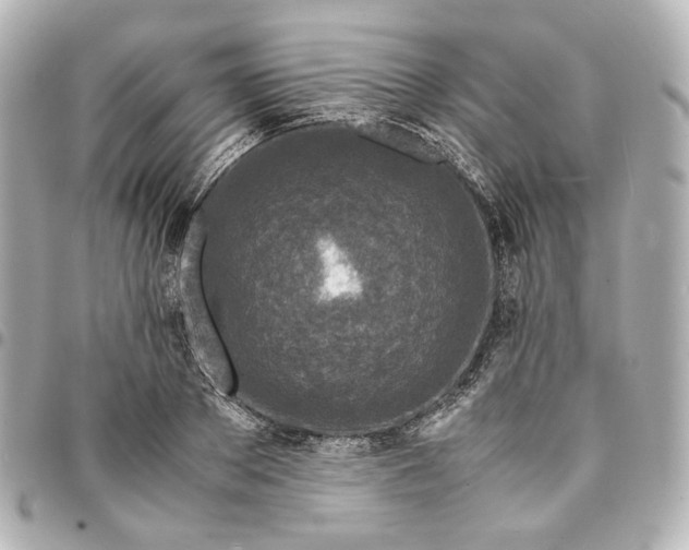 X0000095520889200712281458