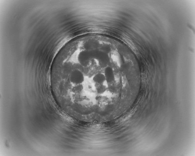 X0000095520891200712281457