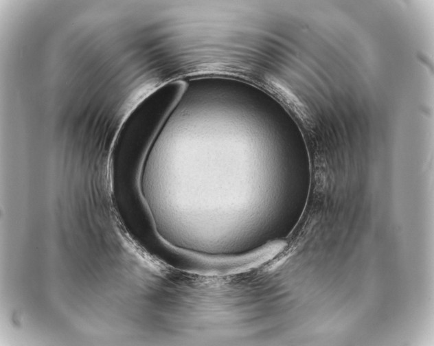 X0000095520892200712281457