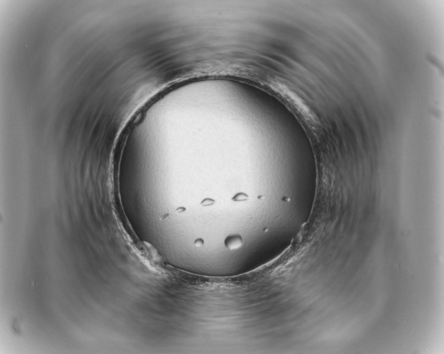 X0000095520894200712281457