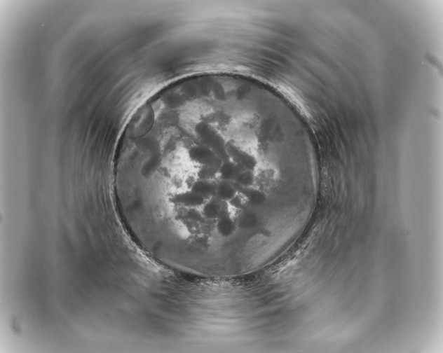 X0000095520895200712281457