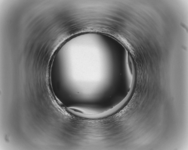 X0000095520896200712281457