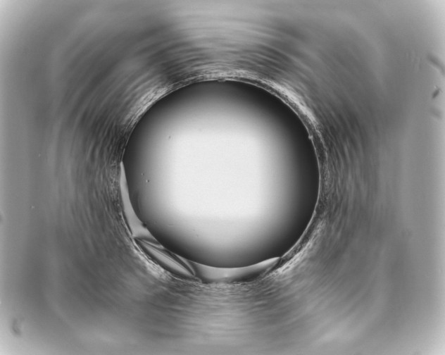 X0000095520897200712281457