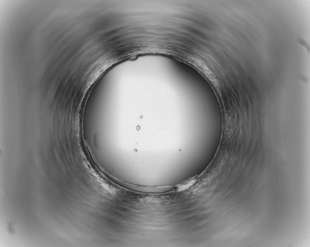 X0000095520898200712281457