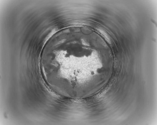 X0000095520899200712281457