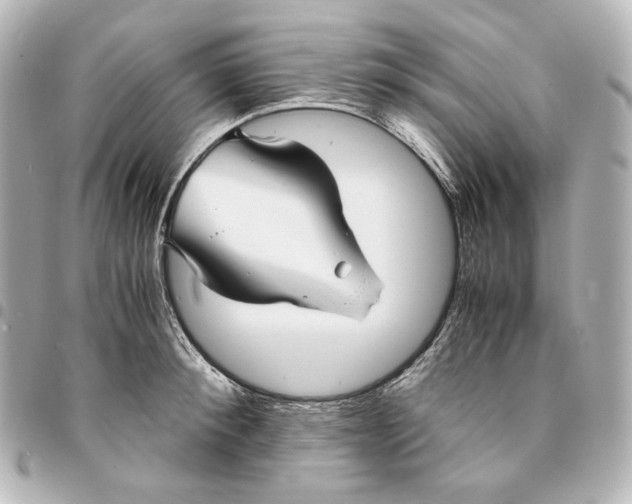 X0000095520900200712281457