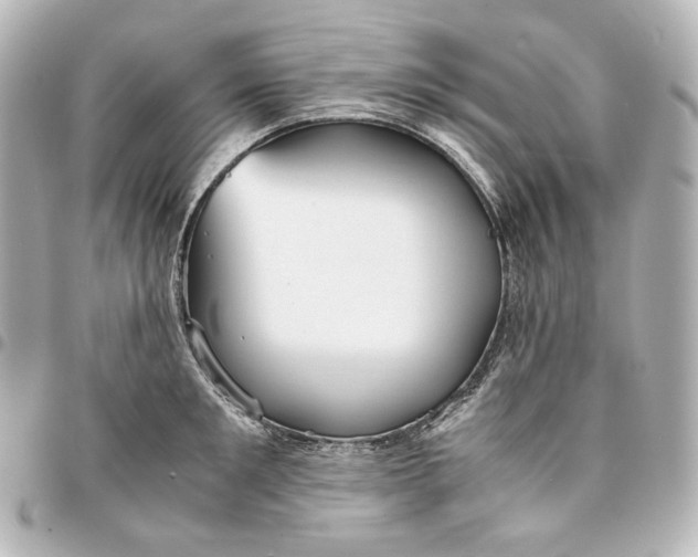 X0000095520901200712281457