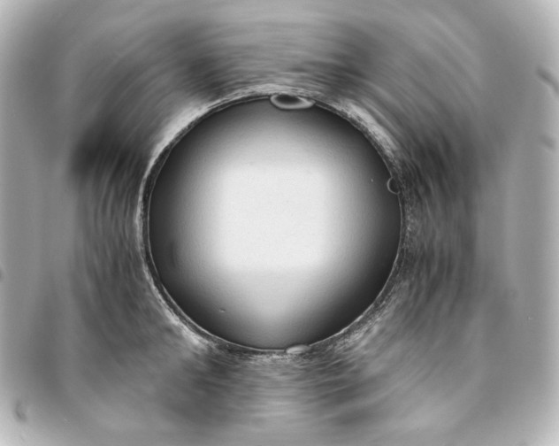 X0000095520902200712281457