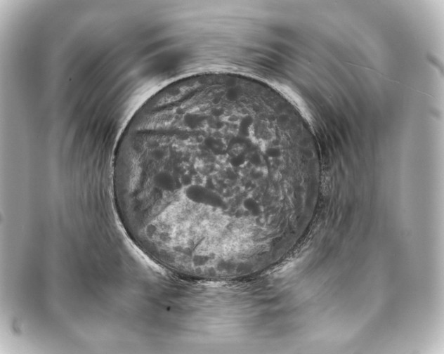 X0000095520903200712281457