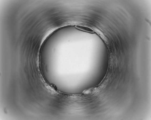 X0000095520904200712281457