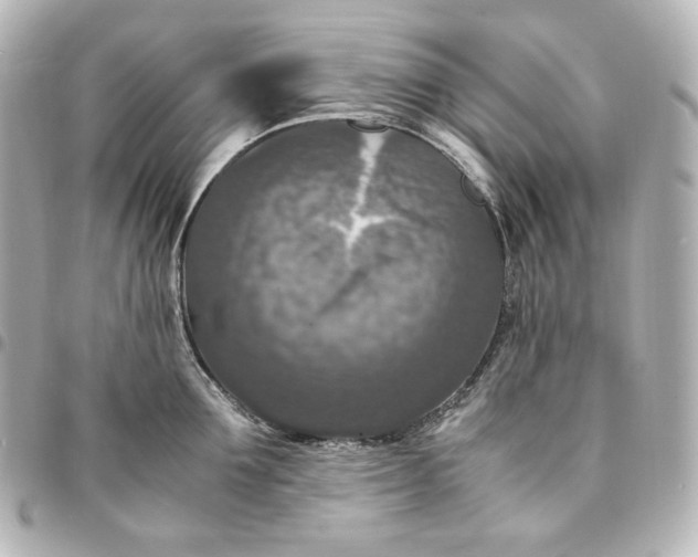 X0000095520907200712281457