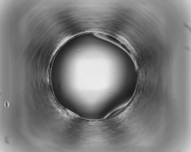 X0000095520908200712281457