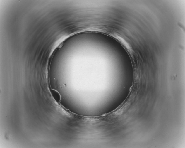 X0000095520910200712281457