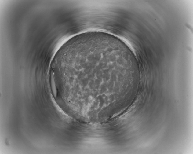 X0000095520911200712281457