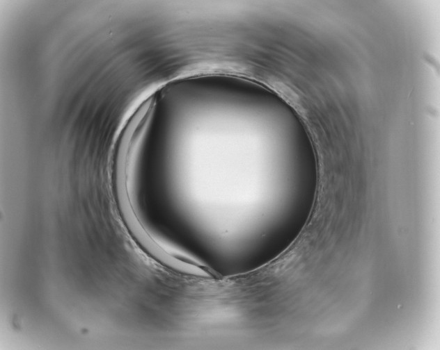 X0000095520912200712281457