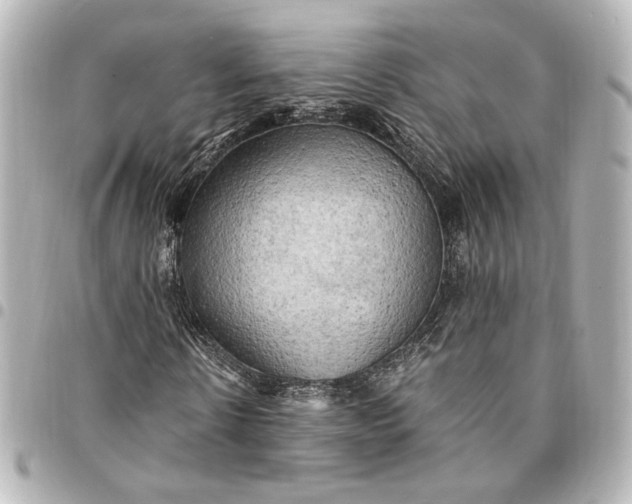 X0000095520914200712281457