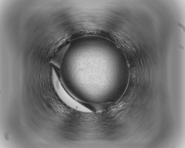 X0000095520916200712281457