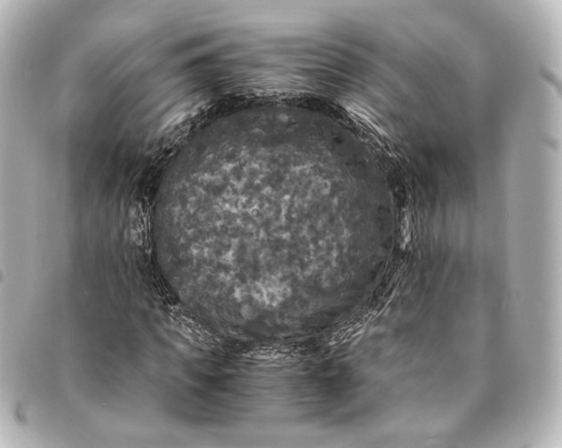 X0000095520917200712281457