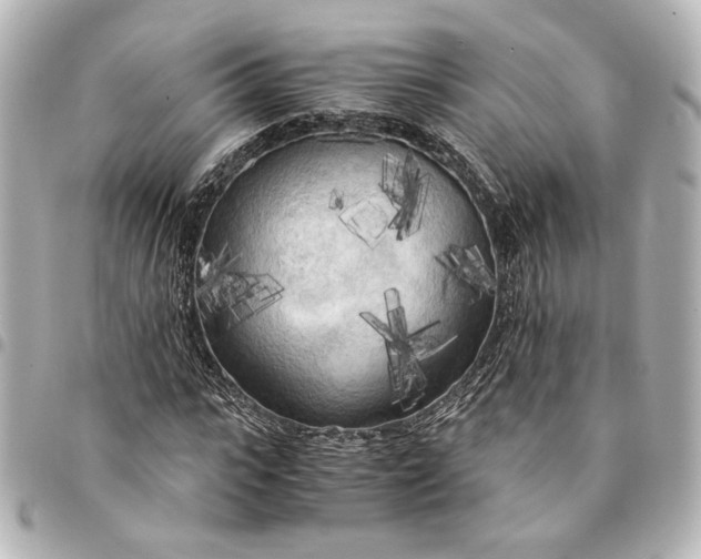 X0000095520919200712281457