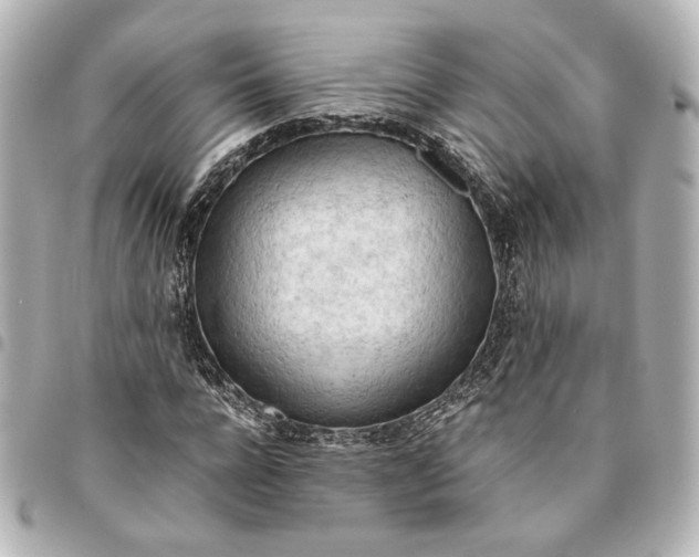 X0000095520920200712281457