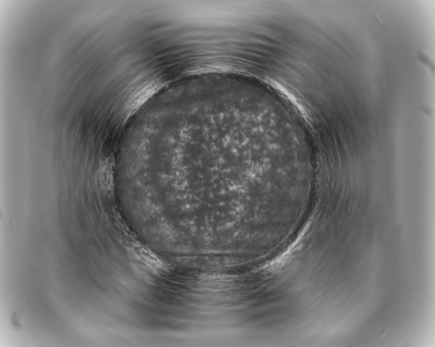 X0000095520921200712281457