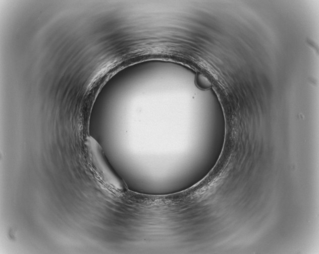 X0000095520922200712281457