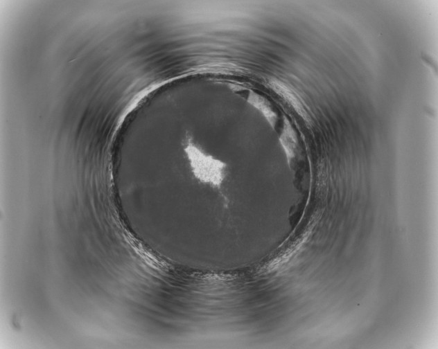 X0000095520923200712281457