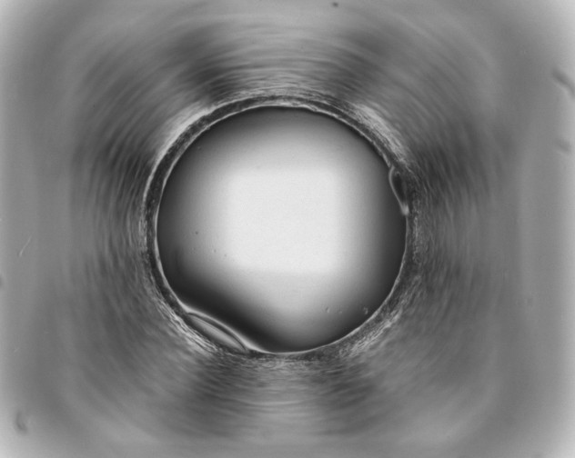 X0000095520924200712281457