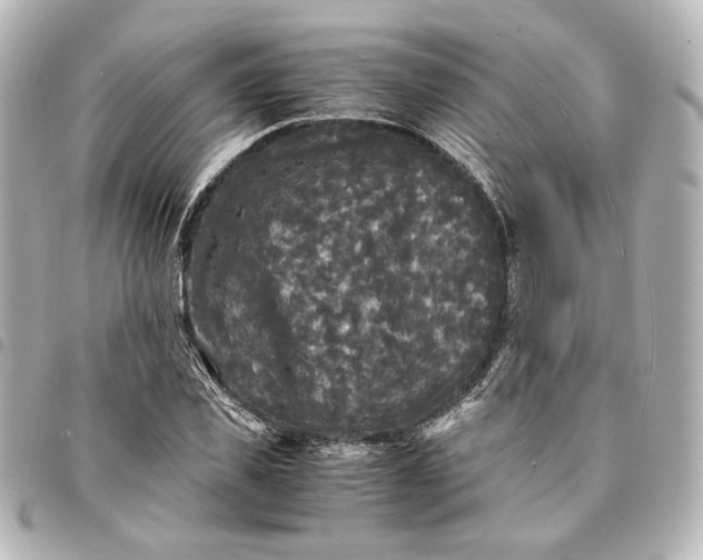 X0000095520925200712281457