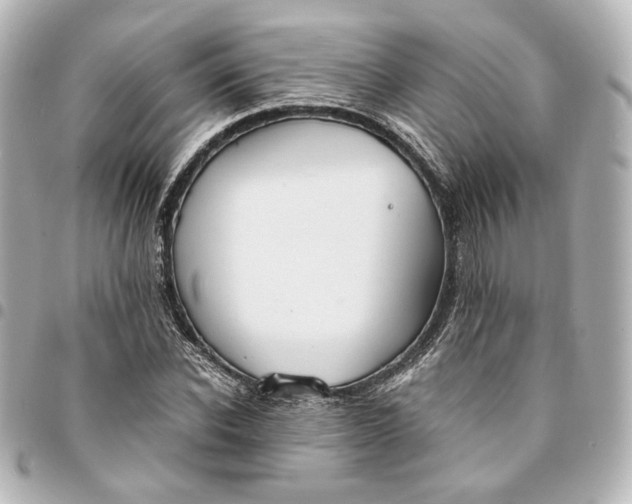 X0000095520926200712281457