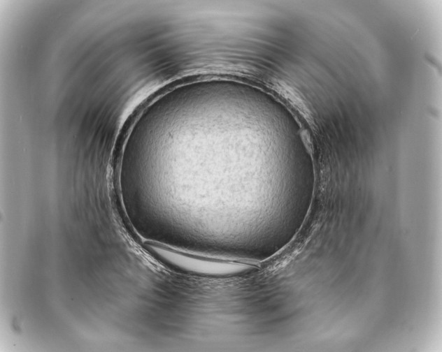 X0000095520928200712281457