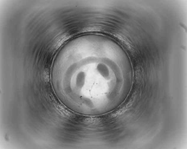 X0000095520929200712281457