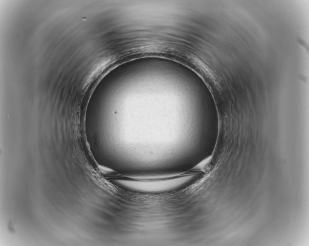 X0000095520930200712281457