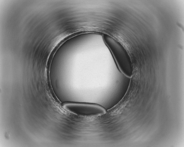 X0000095520932200712281457