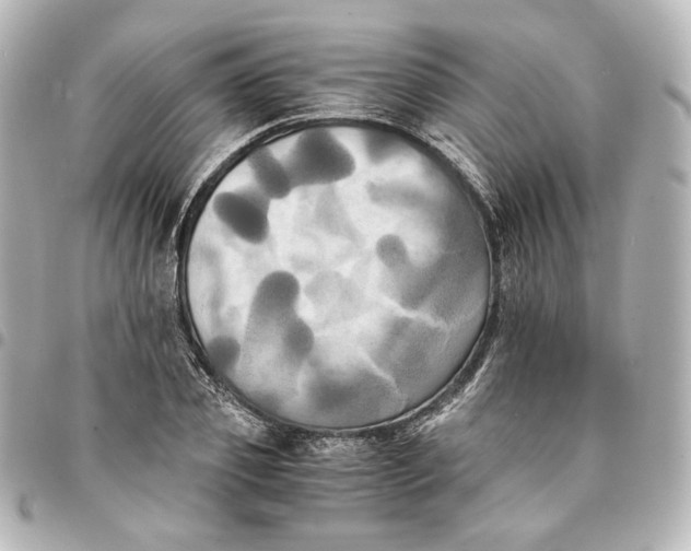 X0000095520933200712281457