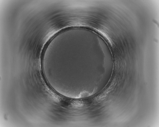 X0000095520935200712281457