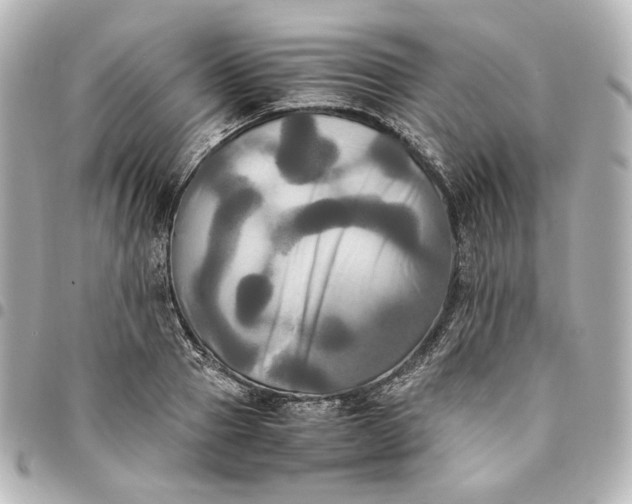 X0000095520937200712281457