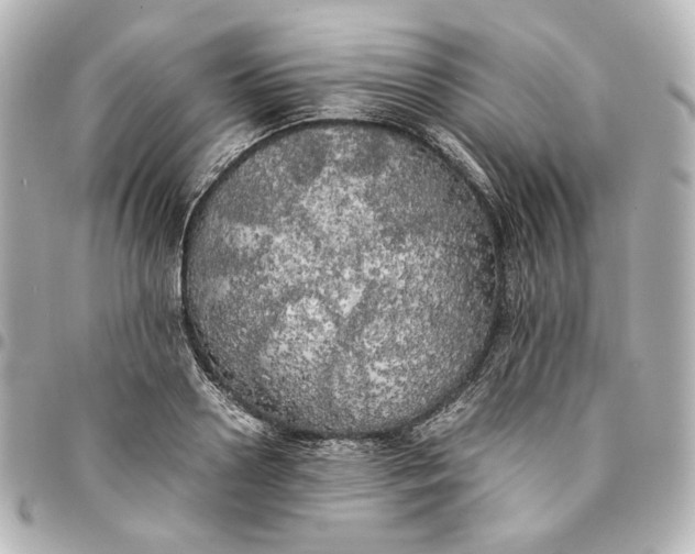 X0000095520938200712281457