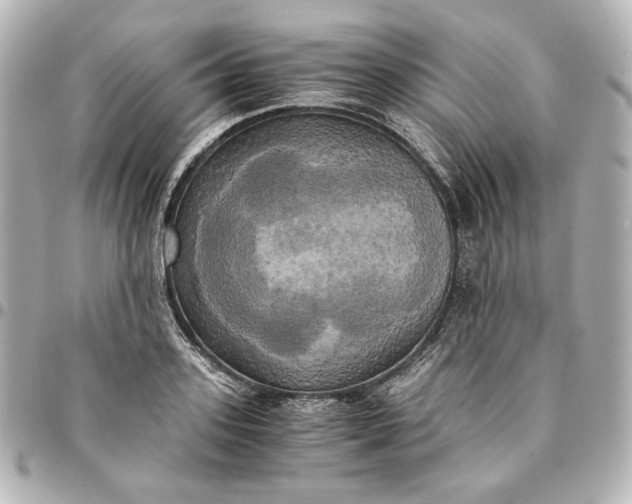 X0000095520939200712281457